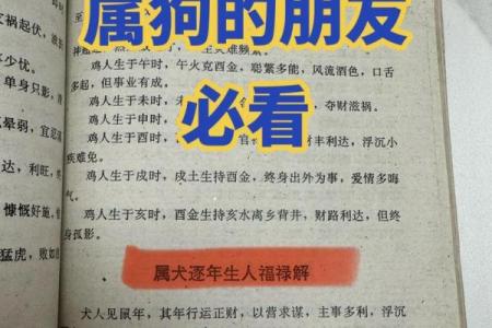 三月份出生的属狗男孩如何取名字姓名