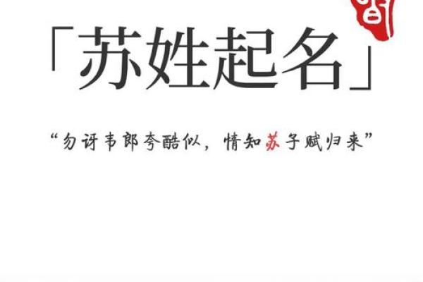 姓苏的名人-名人大全-姓名学-华易算命网姓名 姓苏的名人-名人大全-姓名学-华易算命网姓名