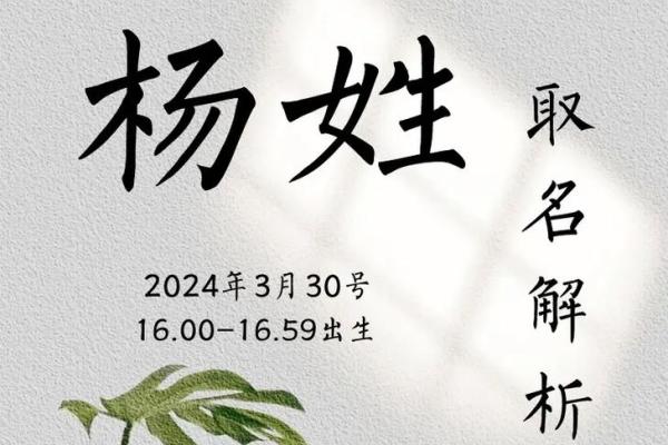 姓杨的名人-名人大全-姓名学-华易算命网姓名 姓杨的名人-名人大全-姓名学-华易算命网姓名