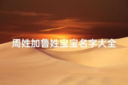 鲁姓男孩名字大全-鲁姓男孩起名字大全-鲁姓名字大全姓名