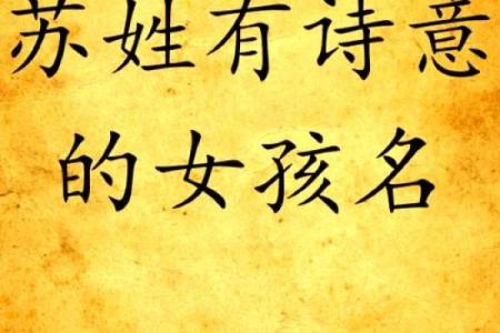 姓苏的名人-名人大全-姓名学-华易算命网姓名