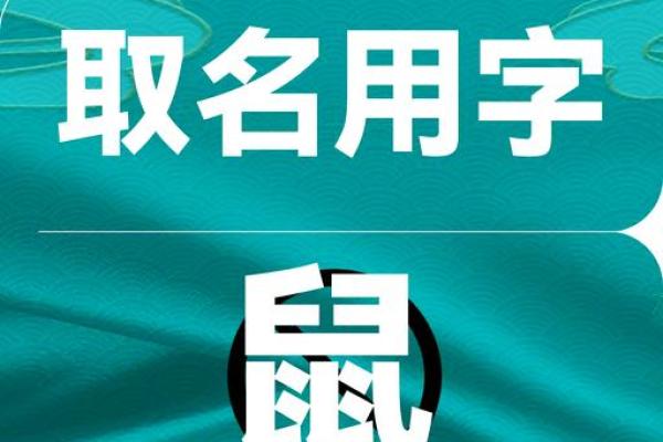 怎么样给晚上10点出生的属鼠男孩起名姓名 怎么样给晚上10点出生的属鼠男孩起名姓名
