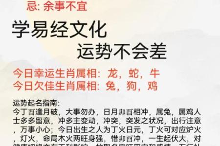 怎么样给早上8点出生的属鸡男孩起名字好姓名