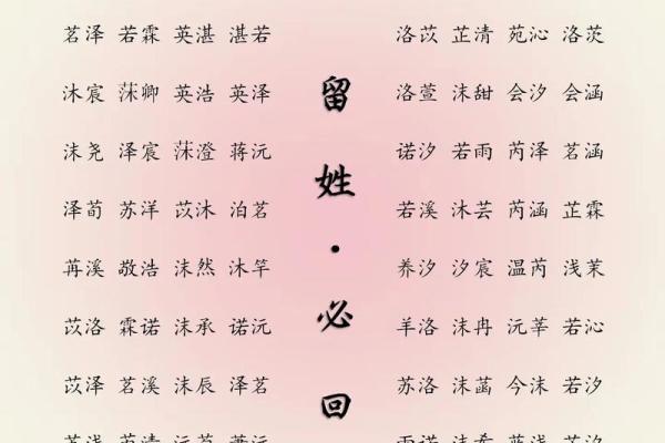 2019年出生的姓胡男孩如何起名，宜用什么字姓名