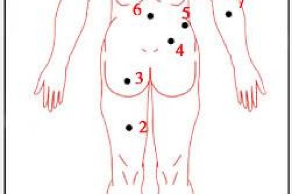 姓郏的名人-姓名学-华易算命网姓名