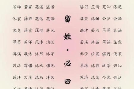 2019年出生的姓胡男孩如何起名，宜用什么字姓名