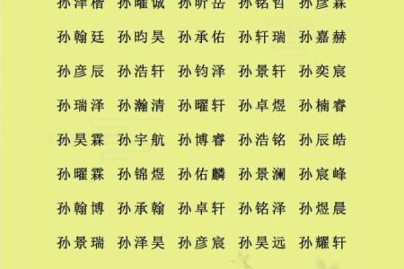 2019年6月13号卯时出生的男孩应该起什么样的名字姓名