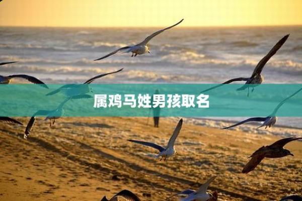 3月份出生的属鸡男孩起什么名字好姓名 3月份出生的属鸡男孩起什么名字好姓名