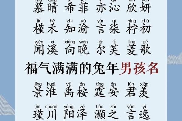 给属兔午时出生的男孩起名推荐的字和名字姓名
