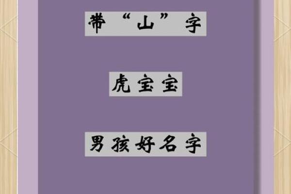 中午12点出生的属虎男孩如何起名，宜用什么字姓名