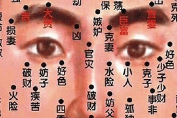 姓雍的名人-姓名学-华易算命网姓名