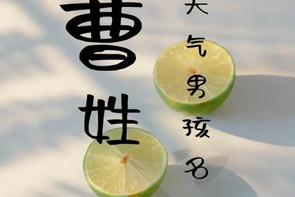 曹姓女孩名字大全-曹姓女孩起名字大全-曹姓名字大全姓名
