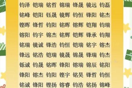 属鸡申时出生的男孩该如何起名，宜用什么字姓名