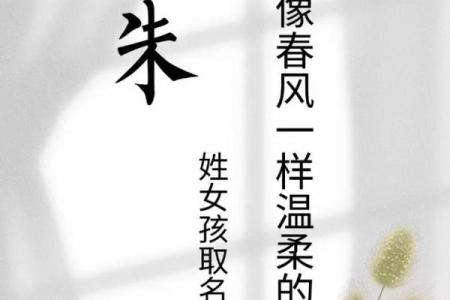 朱姓女孩名字大全-朱姓女孩起名字大全-朱姓名字大全姓名
