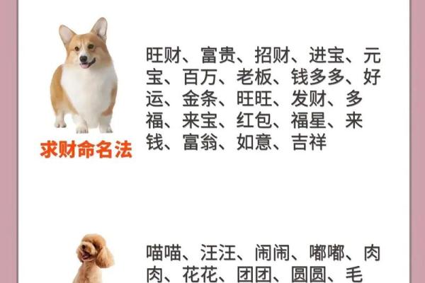 下午五点出生的属狗男孩取什么名,适合什么字姓名 下午五点出生的属狗男孩取什么名,适合什么字姓名