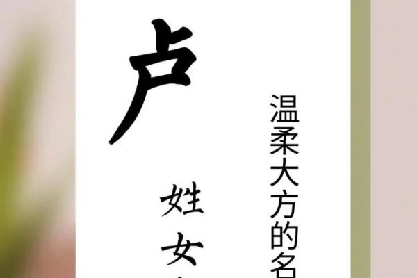 卢姓女孩名字大全-卢姓女孩起名字大全-卢姓名字大全姓名