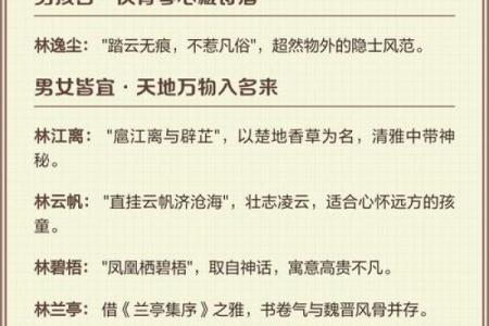 林姓女孩名字大全-林姓女孩起名字大全-林姓名字大全姓名