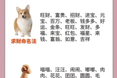 下午五点出生的属狗男孩取什么名，适合什么字姓名