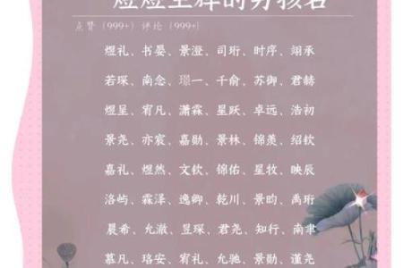 2019年3月26号辛时出生的男孩要怎么起名字姓名