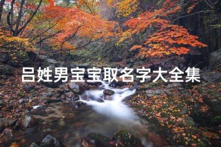 吕姓男孩名字大全-吕姓男孩起名字大全-吕姓名字大全姓名