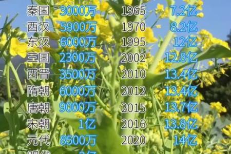 昝姓女孩名字大全-昝姓女孩起名字大全-昝姓名字大全姓名